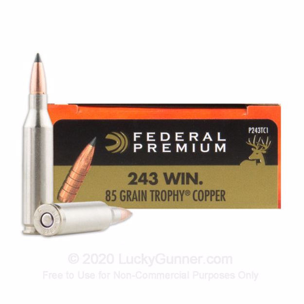 PREMIUM 243 Win 85 TROPHY COPPER (20 pk.)