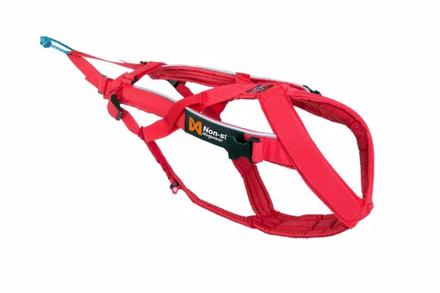Combined harness OneColor 5