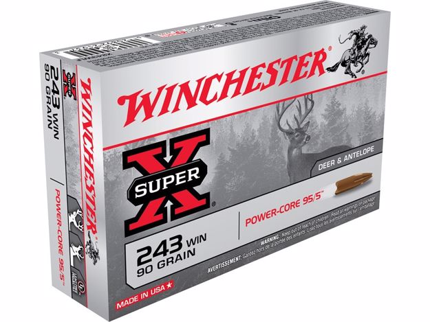 Winchester .223 64g Power Core