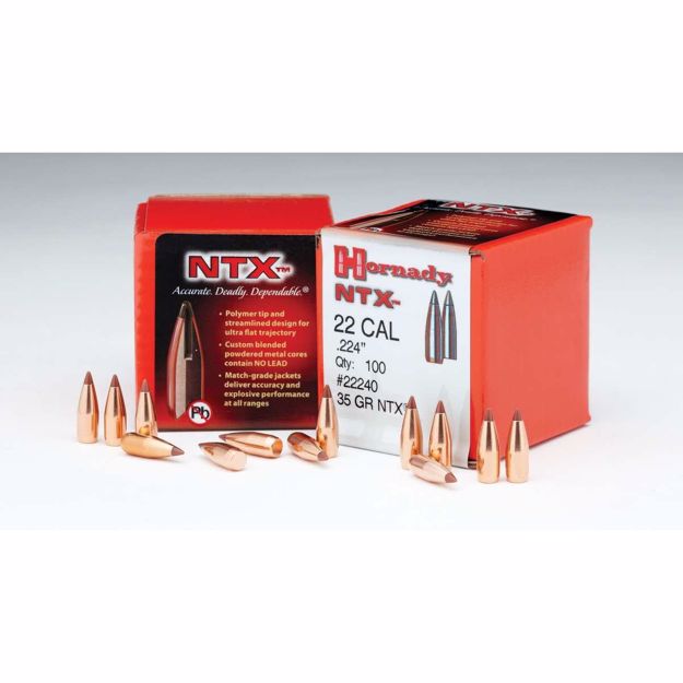 Hornady .22 Cal 35 gr NTX 100pk