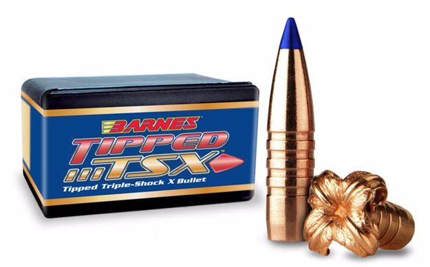 Barnes .30 165gr TTSX