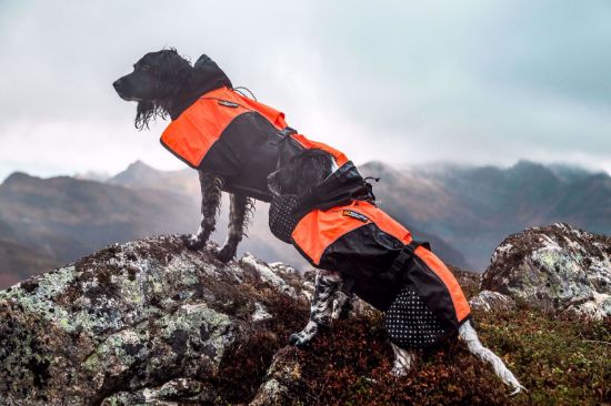 Bilde av Beta Pro Raincoat Orange 30