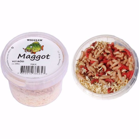 Bilde av Maggot Mix