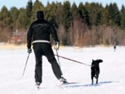 Bilde av Baggen Reflex x1