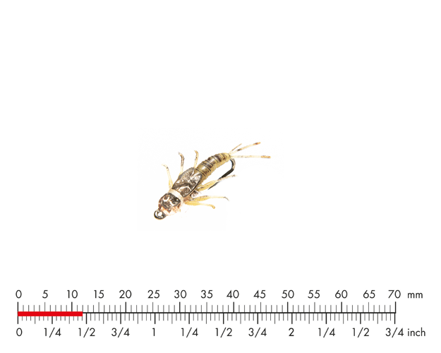 Bilde av J:son Mayfly Nymph Olive Brown Tungsten 14