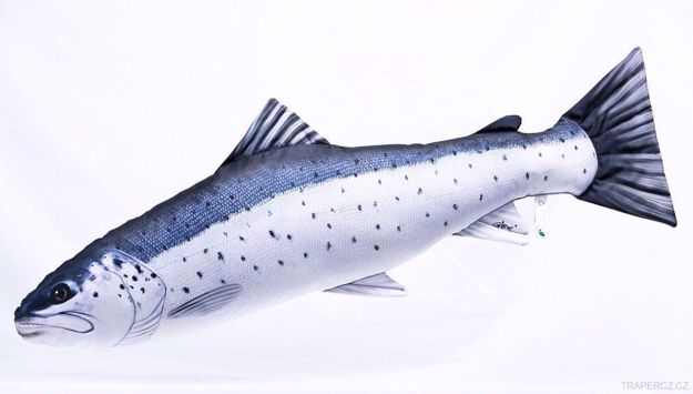 Bilde av The Sea Trout, 110cm