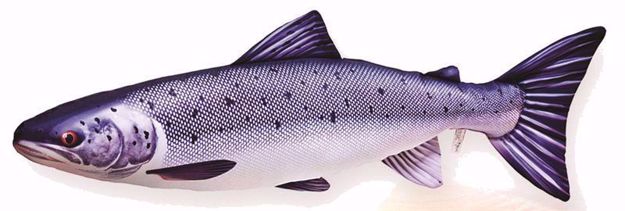 Bilde av THE ATLANTIC SALMON 60CM