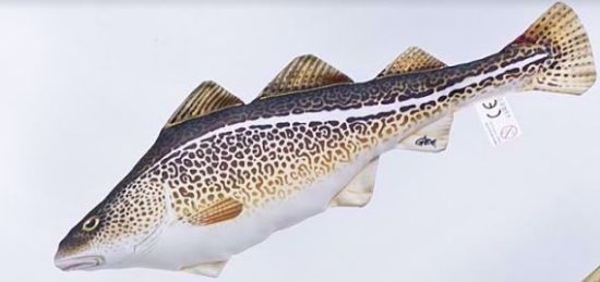 Bilde av THE COD MINI 38CM