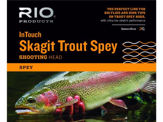 Bilde av RIO InTouch Skagit Trout Spey OneColor #2 225gr/14,6g 3,9 m