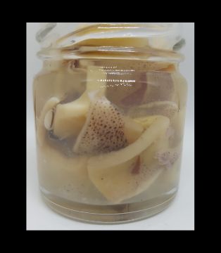 Vis detaljer for Akkar Naturell Bilde av Akkar Naturell