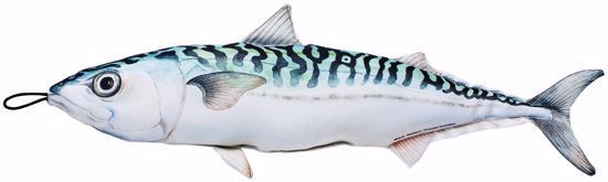 Bilde av Kosefisk Makrell 