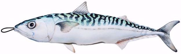 Bilde av Kosefisk Makrell 