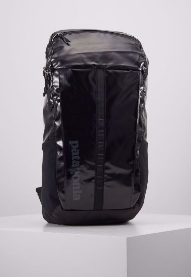 Bilde av Patagonia Black Hole Pack 25L Black