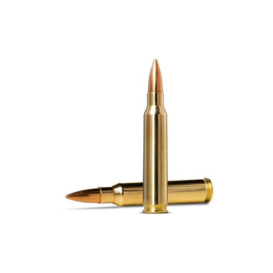 Bilde av Norma Golden Target 223 Rem 4,5/69 