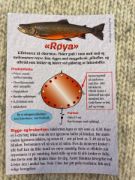 Bilde av OW Røya Kobber