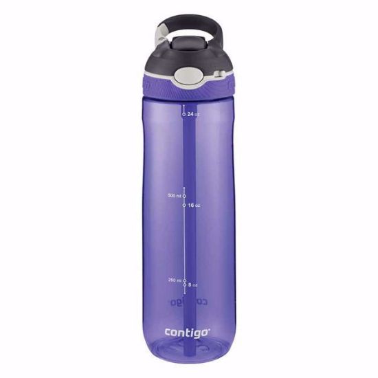 Bilde av Ashland Grapevine 24oz