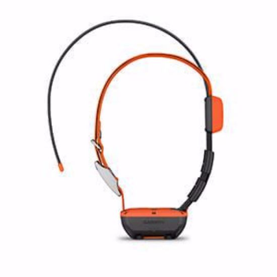 Bilde av Garmin Alpha T20  Hundehalsbånd 