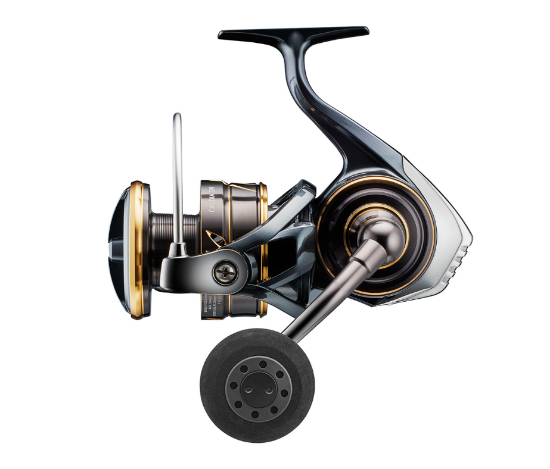 Bilde av Daiwa Caldia SW 6000D-H