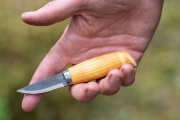 Bilde av Brusletto Balder
