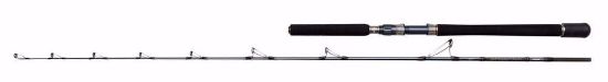 Bilde av Penn BATTALION SOLID BOAT 6FT4 30-50LB 1p1