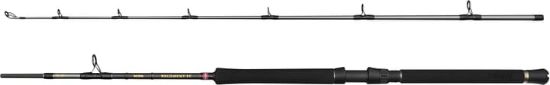 Bilde av Penn Regiment IV 6ft 20-30lbs/150-400g