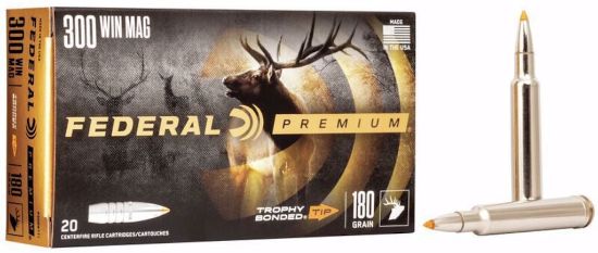 Bilde av PREMIUM 300 W.M. 180 TROPHY BONDED TIP (20 pk.)