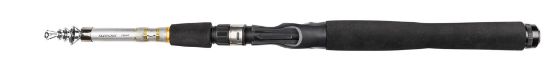 Bilde av Daiwa Silvercast 6' Tele 10-30g