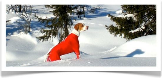 Bilde av Jægerens Superdekken Tispe OneColor 0