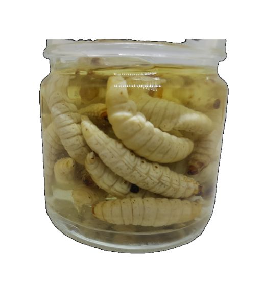 Bilde av Monster Maggot 