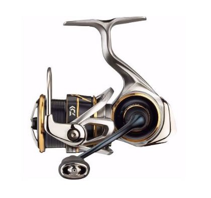 Bilde for kategori Sneller