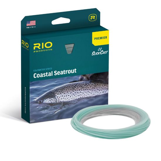 Bilde av RIO Premier Coastal Seatrout Shooting Head V2 Hover/Intermediate 6/7